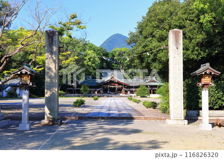 【香川県】香川縣護國神社(香川県護国神社)讃岐宮・拝殿 【香川県】香川縣護國神社(香川県護国神社)讃岐宮・拝殿 116826320