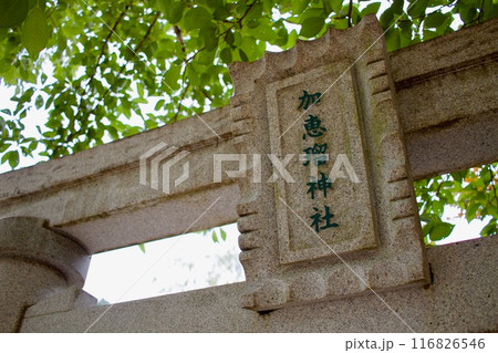 下呂温泉の観光スポット、かえる神社 116826546