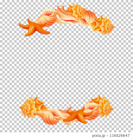 Semicircular frame or border with sea shells isolated on white background. Underwater life. Watercolor Tropical composition for beach accessories design, prints, travel banners decoration, postcards Semicircular frame or border with sea shells isolated on white background. Underwater life. Watercolor Tropical composition for beach accessories design, prints, travel banners decoration, postcards 116826647