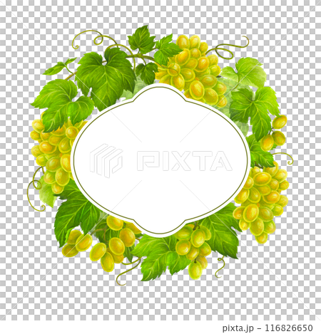 Isolated watercolor wreath of grapes, leaves and tendrils with frame for text for wedding invitation or greeting card design, vineyard celebration decor, menus, labels for wine and wine vinegar Isolated watercolor wreath of grapes, leaves and tendrils with frame for text for wedding invitation or greeting card design, vineyard celebration decor, menus, labels for wine and wine vinegar 116826650