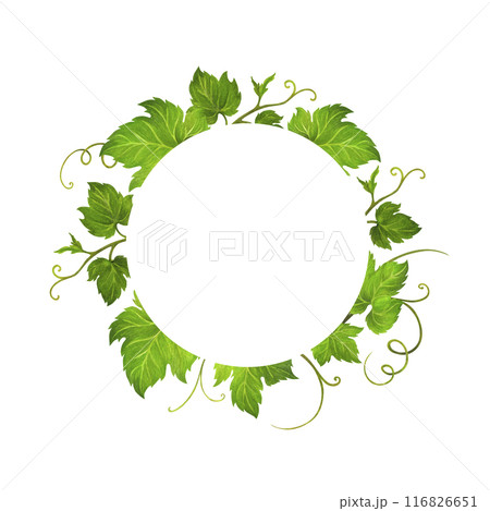 Isolated Watercolor wreath of grape leaves and tendrils with text frame for wedding invitation or greeting card design, vineyard celebration decor, menus, labels for wine and wine vinegar Isolated Watercolor wreath of grape leaves and tendrils with text frame for wedding invitation or greeting card design, vineyard celebration decor, menus, labels for wine and wine vinegar 116826651
