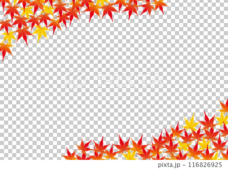 紅葉が美しいもみじフレーム背景1 紅葉が美しいもみじフレーム背景1 116826925