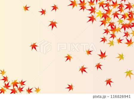 紅葉が美しいもみじフレーム背景3橙色 116826941