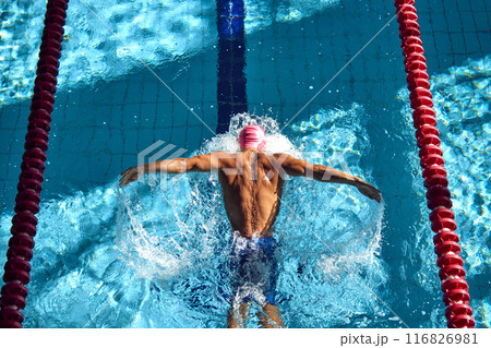 Swimmer, seen from above, powers through water with butterfly stroke, his muscular back glistening under sun as they swim between red lane dividers. Swimmer, seen from above, powers through water with butterfly stroke, his muscular back glistening under sun as they swim between red lane dividers. 116826981