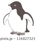 横を向いたアデリーペンギン　水墨画風 116827323