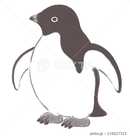 横を向いたアデリーペンギン　水墨画風 116827323