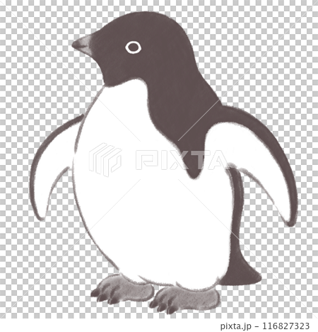 Adelie penguin looking to the side, ink painting style 116827323