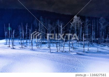 美瑛 冬の青い池 美瑛 冬の青い池 116827581