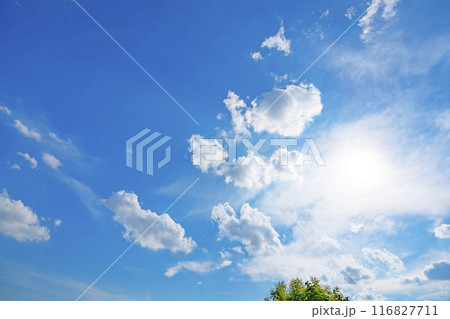夏の雲と木立と太陽 116827711