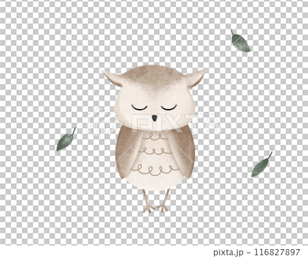Cartoon animal for kids design . Hand drawn illustration of cute owl and green leaf on isolated background. Minimalist scandinavian style. Wild forest bird with close eyes. 116827897