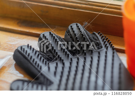 A black spiked glove for combing shedding hair from pets lies on a wooden windowsill by the window with hairs of hair. Accessories to keep your pets clean A black spiked glove for combing shedding hair from pets lies on a wooden windowsill by the window with hairs of hair. Accessories to keep your pets clean 116828050