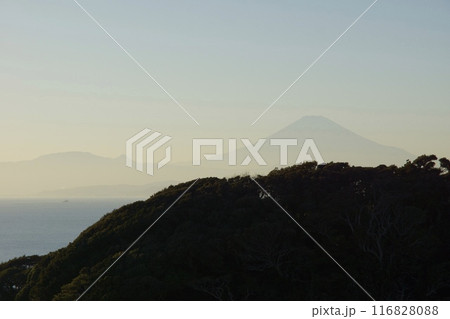 江ノ島の春の風景 神奈川県観光 江ノ島の春の風景 神奈川県観光 116828088