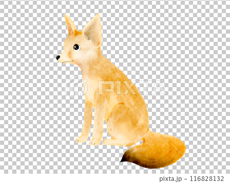 A cute fennec fox illustration material in watercolor style 116828132