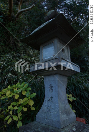 江ノ島の春の風景 神奈川県観光 江ノ島の春の風景 神奈川県観光 116828159
