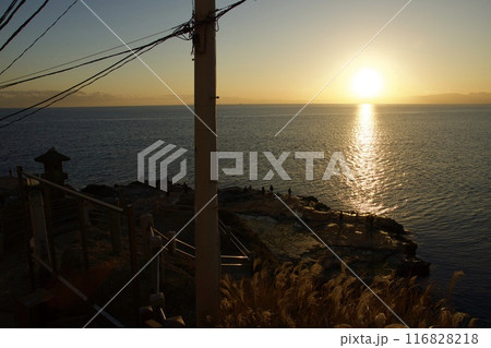 江ノ島の春の風景 夕景 神奈川県観光 江ノ島の春の風景 夕景 神奈川県観光 116828218