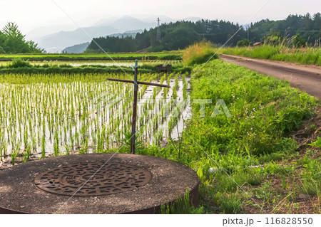 240613上野平z083 116828550