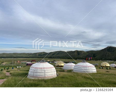 モンゴルのゲル　遊牧民族の家 116829164