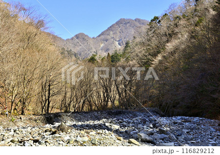 丹沢の大室山　犬越路南コース　用木沢より小笄と大笄を望む 116829212