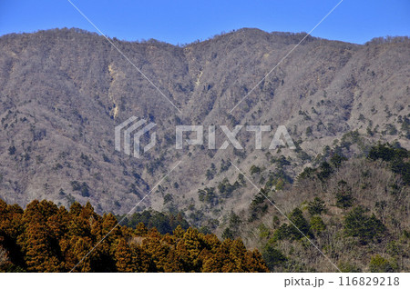 西丹沢の大室山 116829218