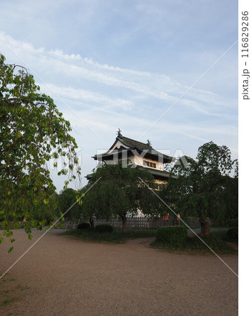 弘前城と岩木山　 116829286