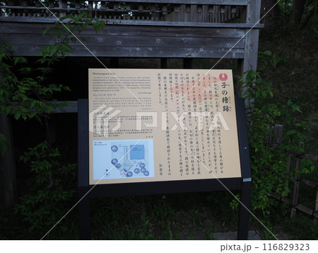 弘前城と岩木山　 116829323