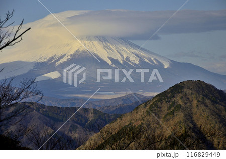 丹沢の檜洞丸 つつじ新道の展望園地より眺める冬の朝の富士山 丹沢の檜洞丸 つつじ新道の展望園地より眺める冬の朝の富士山 116829449