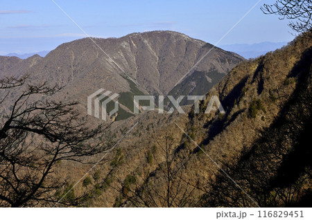 丹沢の檜洞丸より　朝日を浴びる山梨百名山の大室山 116829451