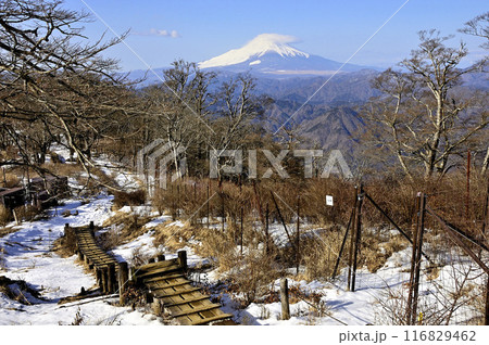 丹沢の檜洞丸より 雪の石棚山稜より望む富士山 丹沢の檜洞丸より 雪の石棚山稜より望む富士山 116829462
