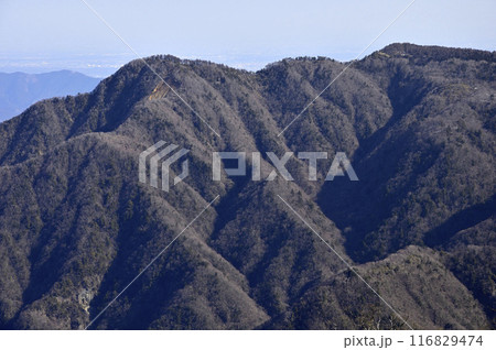 丹沢山地の檜洞丸からの眺望　冬の袖平山と姫次を望む 116829474