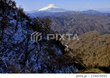 丹沢山地の檜洞丸より 厳冬の富士山と冬の西丹沢 丹沢山地の檜洞丸より 厳冬の富士山と冬の西丹沢 116829482