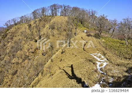 雪の丹沢主稜 熊笹ノ峰より大笄を望む 雪の丹沢主稜 熊笹ノ峰より大笄を望む 116829484