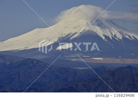 丹沢　熊笹ノ峰のヤタ尾根出合より望む厳冬の富士山 116829486