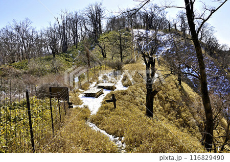 丹沢主稜の縦走路 雪のヤタ尾根出合 丹沢主稜の縦走路 雪のヤタ尾根出合 116829490