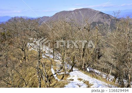 雪の丹沢主稜の縦走路　大笄より望む大室山 116829494