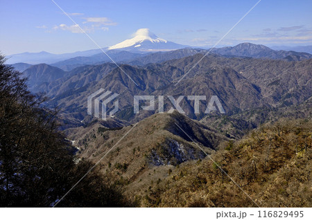 厳冬の富士山と丹沢山地　丹沢主稜の大笄より望む 116829495