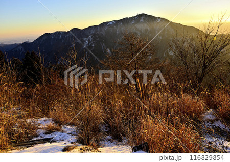丹沢の二ノ塔より 朝日射し込む大山を望む 丹沢の二ノ塔より 朝日射し込む大山を望む 116829854