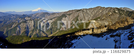 丹沢の三ノ塔山頂から広がり眺める雪化粧の富士山と丹沢山地のパノラマ 丹沢の三ノ塔山頂から広がり眺める雪化粧の富士山と丹沢山地のパノラマ 116829875