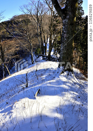 丹沢山地の三ノ塔　雪積もるヨモギ尾根 116829889