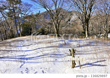 厳冬の丹沢山地 雪原に続くトレース ヨモギ平より眺める三ノ塔 厳冬の丹沢山地 雪原に続くトレース ヨモギ平より眺める三ノ塔 116829897