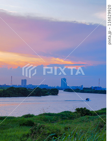 千葉市川に流れる江戸川土手の夕焼け 千葉市川に流れる江戸川土手の夕焼け 116829920