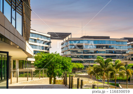 View of modern office buildings with large windows and a courtyard with palm trees and green foliage 116830059