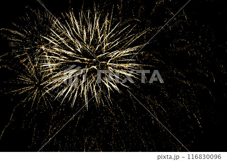 Fireworks lighting up the night sky. Pyrotechnics, abstract Fireworks lighting up the night sky. Pyrotechnics, abstract 116830096