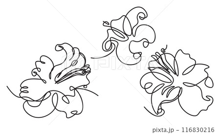 Single line art lily flower 116830216