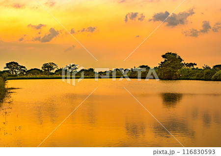 A breathtaking sunset paints the sky in fiery hues, casting a golden glow on the tranquil lake. A breathtaking sunset paints the sky in fiery hues, casting a golden glow on the tranquil lake. 116830593