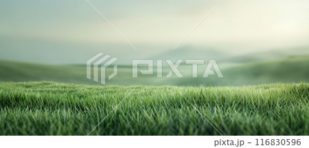 Beautiful Nature Landscape Background with Fields and Lush Green Grass 116830596