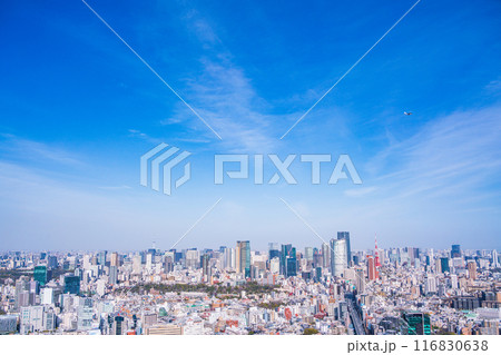 【東京都】渋谷から眺める東京都市風景（地上のビルと空の飛行機） 116830638