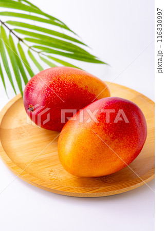 宮崎産マンゴー 116830997