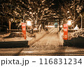 大晦日の神社 116831234