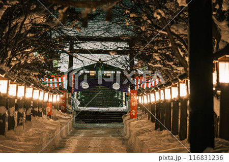 ライトアップされた参拝道 ライトアップされた参拝道 116831236