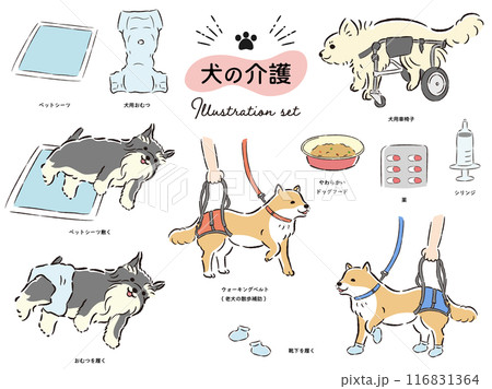 犬の介護関連のイラストセット 犬の介護関連のイラストセット 116831364